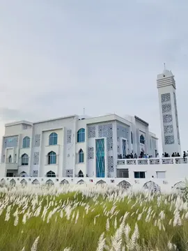 আসকে আমাদের গ্রামের অবস্থা কাশফুল 🤣