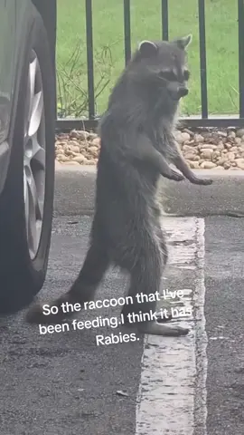 🤣🤣🤣