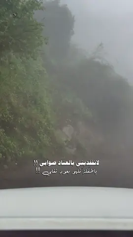 لاتفقديني بالعناد صوابي .. #جديد  .. #شعر .. #مهذل_الصقور .. #كاب_كات  #CapCut  .. #قوالب_abu_ruaa  .. 