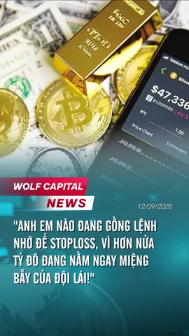 Đặt SL chưa các coin thủ #liquidity #tienmahoa #sangiaodich #wolfcrypto 