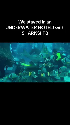 We stayed in an UNDERWATER HOTEL! with SHARKS! P8