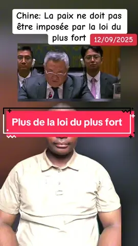 Chine: la paix ne doit pas être imposée par la loi du plus fort #france #francetiktok #israel #palestine 
