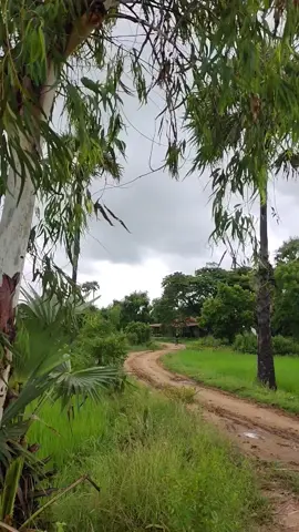 #အညာ