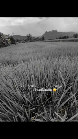 ฟีดที#fyp #ฟีดดดシ #เธรด #กดใจให้หน่อย #ยืมลงสตอรี่ได้ 