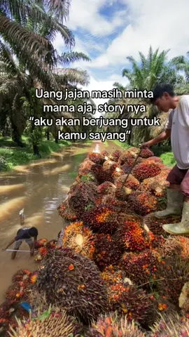 #fyp #kulisawit #pemuatsawit 