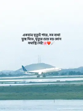 একমাত্র মৃত্যুই পারে সব ব্যথা মুছে দিতে মৃত্যুর চেয়ে বড় কোন সমাপ্তি নেই!🌸❤️‍🩹#fyp #foryou #foryoupage #bdtiktokofficial #unfrezzmyaccount 