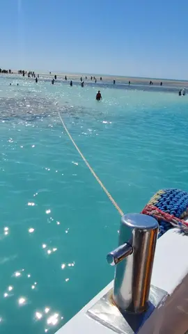 شرم الشيخ وجمالها #شرم_الشيخ #foryou #TravelEgypt #سياحة_عربية #Explore 