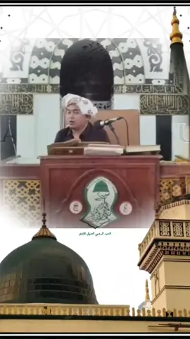 Jawapan Ustaz PU Faiz Al-Idrus ke orang ii bodoh yang duk kata ke babo ridaudin @Muhammad Tohir #trending #fypシ #tiktok #fyp #viralvideo 