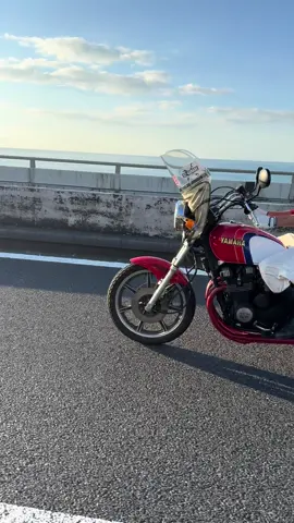 朝の西湘バイパス〜 #yamaha #xj550 #xj400 #湘南 #江ノ島 