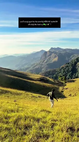 ඔයාලටත් මෙහෙම ද ? 🥺🍃 #viral #traveltiktok #onemillionaudition #goviral #campingsrilanka 