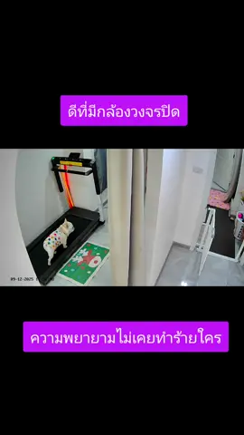 ดีที่มีกล้องวงจรปิด ข้อที่เห็นถึงความพยายามของลูกที่ออกกำลังกายทุกวัน จนน้ำหนักลดจาก 12.8 กิโลกรัมเหลือ 11.6 แล้วครับ #frenchbulldog #petfriendly #ไก่โอ๊ก #ลดน้ำหนัก 