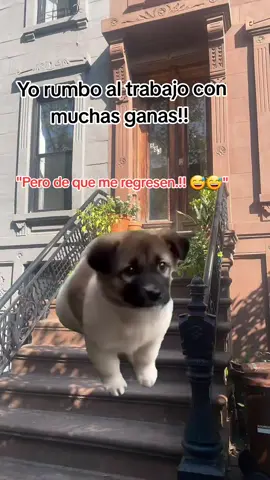 #CapCut #foryoupage #tiktok #viral #foryou 