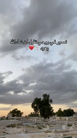 Reste en paradis frère je ne t’oublierai jamais 🕊️❤️‍🩹 #tunisia #paradis #frere 