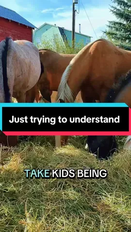 Help me understand! How is this bigger than any of the mass situations that have happened…he was a political spokesman that spewed hate about everyone that didn’t look like him… #charliekirk #HorseTok #gunviolence #notonemore #EquestrianLife 
