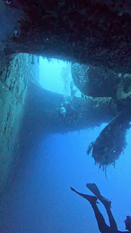 🌊⚓ Dive the Zenobia – Cyprus’ Underwater Giant ⚓🌊 Few dives in the world compare to the Zenobia wreck in Larnaca, Cyprus 🤿. Sunk in 1980 on her maiden voyage, this 172-meter Swedish ferry now rests on her port side at a depth of 42m — making her one of the top 10 wreck dives worldwide 🌍. As you dive, you’ll discover a breathtaking world beneath the surface: trucks still chained to the decks 🚛, stairways disappearing into the blue 🔦, and the enormous propellers ⚙️ that remind you just how vast this ship really is. Marine life has made the Zenobia their home 🐟🐢. Expect curious groupers, schools of barracuda, playful nudibranchs, and the occasional turtle gliding by. Every visit lets you develop your skills — whether you’re exploring the upper decks as a recreational diver or venturing deeper into the cargo holds and engine rooms as a technical diver. Every dive on the Zenobia feels different — it’s not just a wreck, it’s an underwater city of steel and sea life 🏙️🌊. ✨ If you’re in Cyprus, diving the Zenobia is simply unmissable!