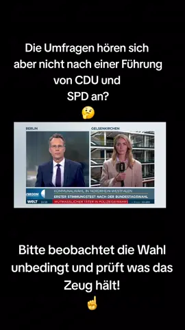 #NRW #Wahlen #AfD #CDU #SPD #Umfragen #Wahlbeobachtung 