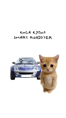 Киса покупает Smart Roadster #рек #авто