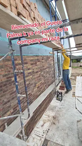 #VIPMASONRY #fyp#viral  #MELENDEZ🇲🇽🧱🇺🇸 