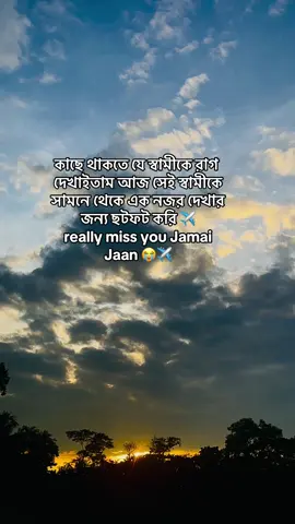 miss you So much Jan😥😓 #foryou #foryoupage #myhubby #viralvideo 
