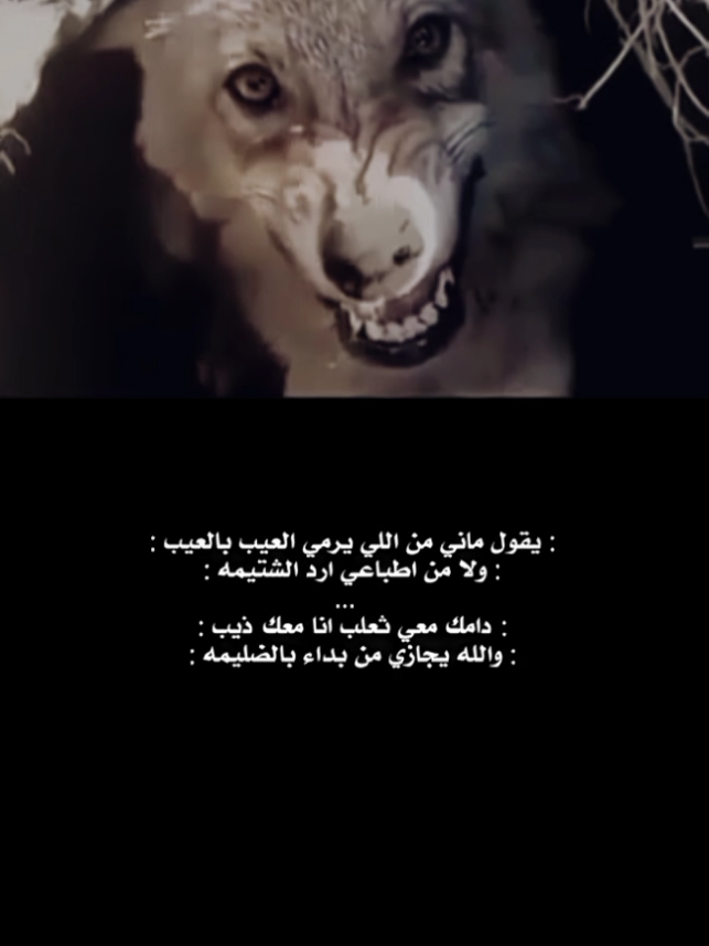 دامك معي ثعلب أنا معك ذيب #اشعاروقصايد #الصديق_الوفي #اكسبلور #اكسبلورexplore 
