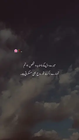 Mention karo apny favorite person ko /// 🥀😌🌸#newacount #foruyou #viralvideos #afidi #lover @TikTok 