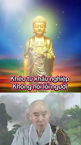 Khéo tu khẩu nghiệp không nói lỗi người#phatphapnhiemmau #thanhtuudaotam #adidaphat #tinhkhongphapsu 