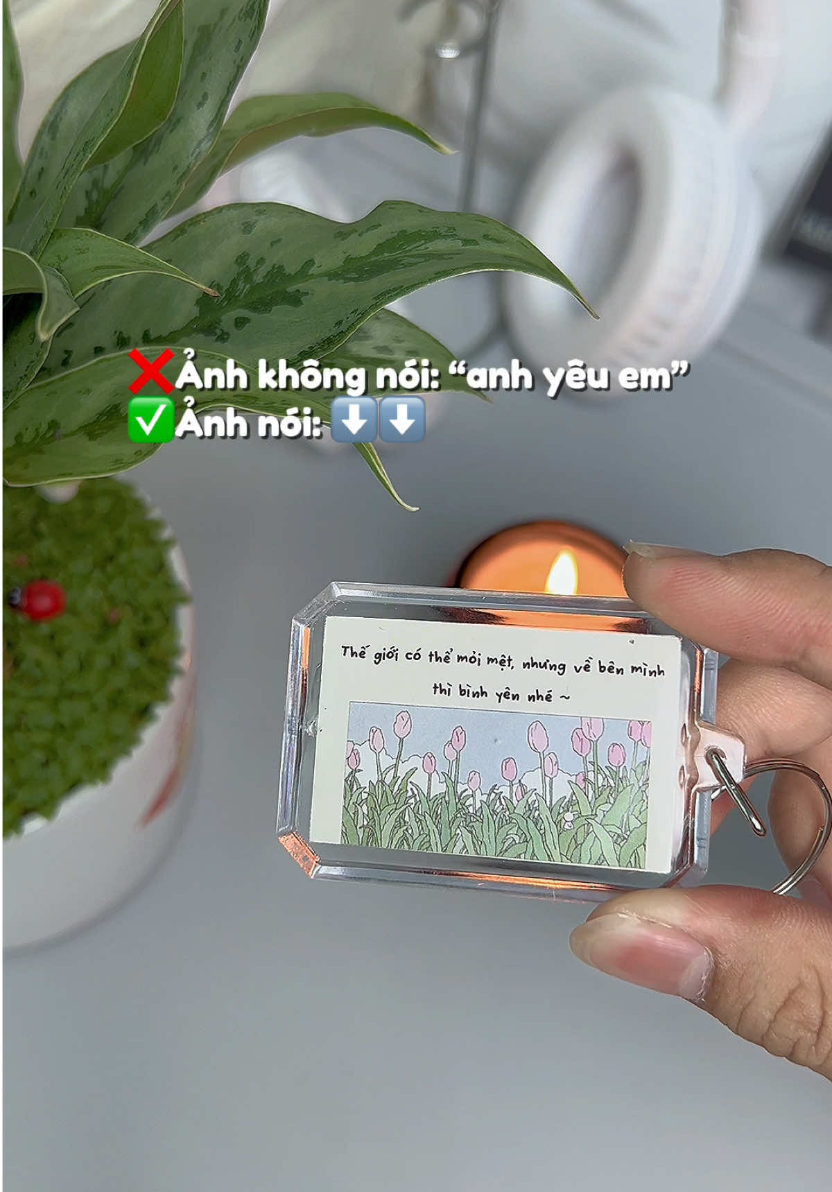Anh Tùng ảnh nói vậy đó  #quatangnguoiyeu #quatangbangai #sontungmtp #cuonhutthat #mockhoathongdiep 