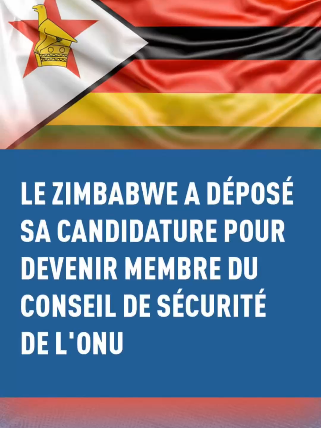 Le président du pays, Emmerson Mnangagwa, a annoncé avoir déposé une candidature pour obtenir un siège au Conseil de sécurité de l'ONU en tant que membre non permanent pour la période 2027-2028. Auparavant, le pays avait déjà été membre non permanent du Conseil à deux reprises : de 1983 à 1984 et de 1991 à 1992. #zimbabwetiktok🇿🇼🇿🇼🇿🇼🇿🇼 #zimbabwe #un #onu #securitycouncil #afrique