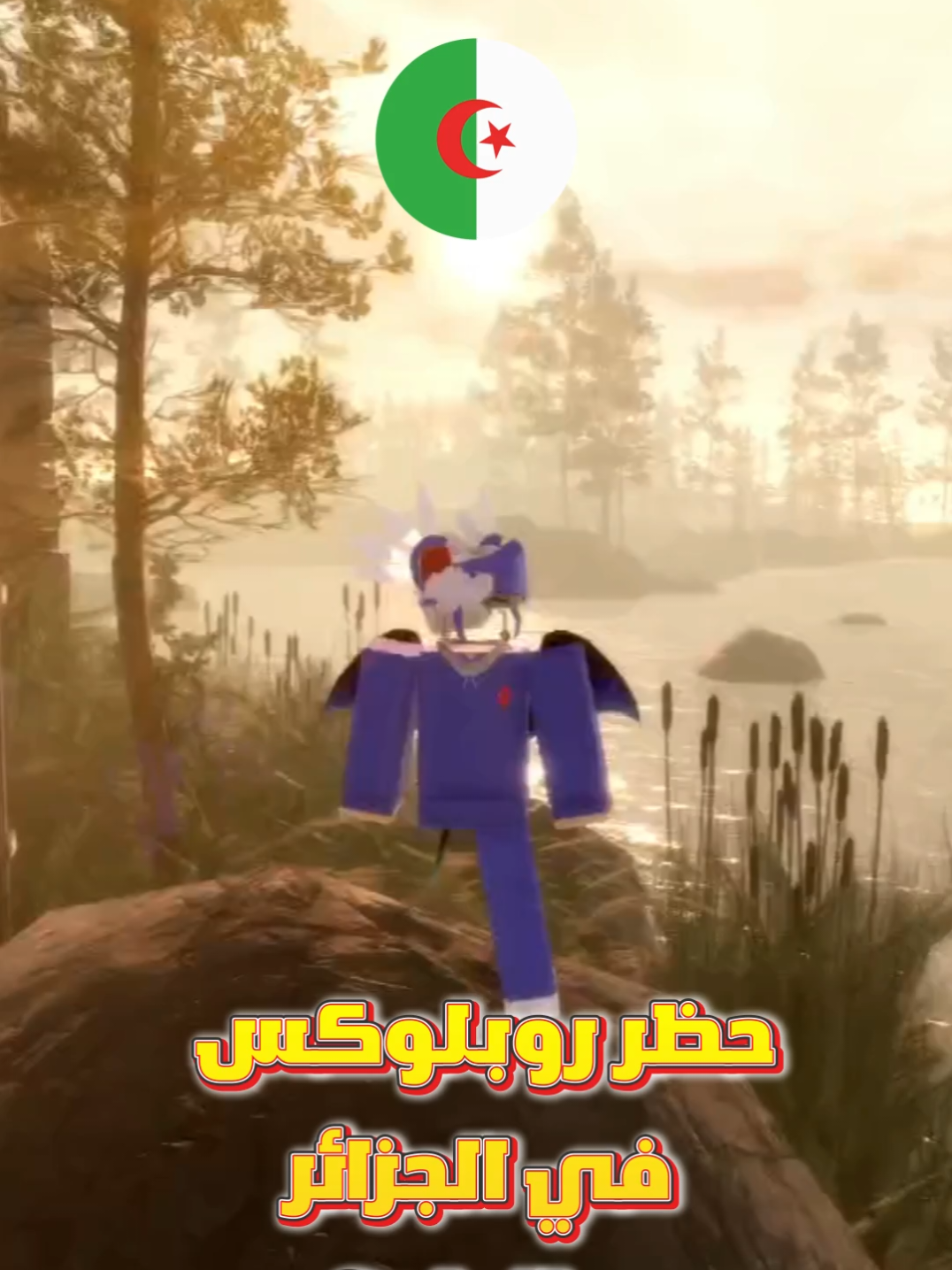 حظر روبلوكس في الجزائر ، و الحل ؟ #robloxedit #fyp #robloxfyp #روبلوكس #روبلوكس_dz 