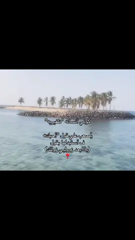 #الظفير #205 #اكسبلورexplore #حب 