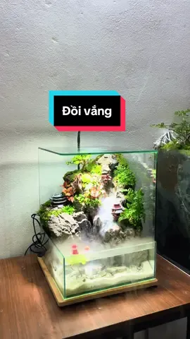 Tiểu cảnh thác nước mini để bàn #tieucanh #paludarium #bancan #thuysinh #ngocaquadesign 