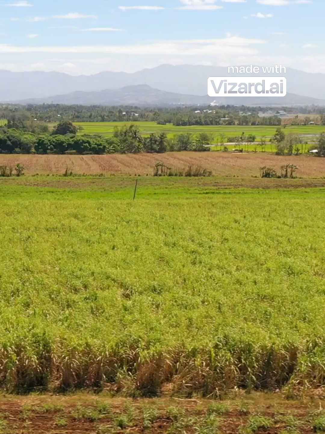 Boost Your Skills with Free Sugar Industry Training!
