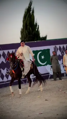 #MalakBarikhankakar #kingmalak #kingmalak 