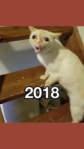 recreated memes (Then Vs Now) #nostalgia #famousmemes #memes 