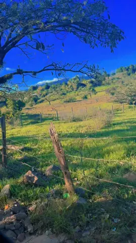 #elsalvador 