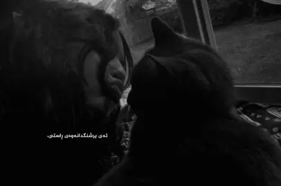 #Tabloo #actives? #foryou *|