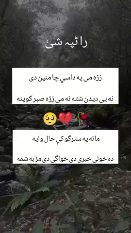 #🥀💔🖤💔 #پشتون_تاجیک_هزاره_ازبک_زنده_باد #foryoupageofficiall #🥀💔🥺💔🥀 #foryoupage 