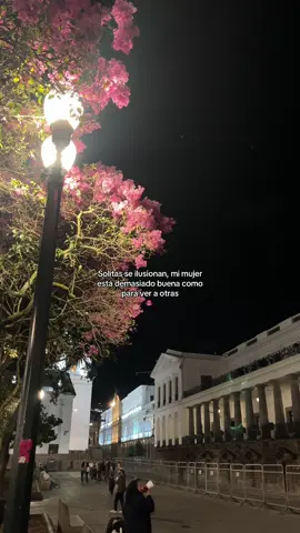 #fypシ゚ 