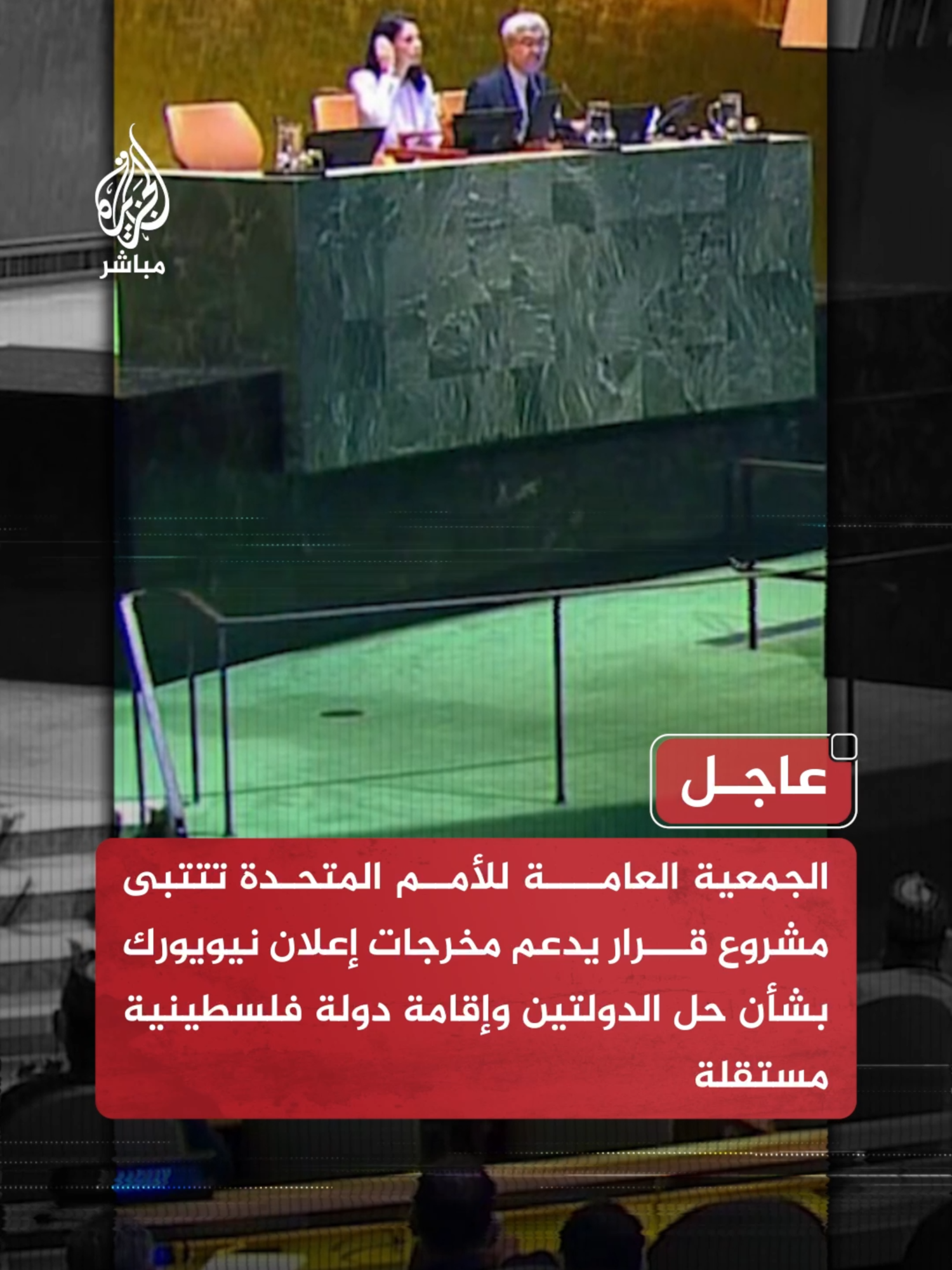 عاجل | الجمعية العامة للأمم المتحدة تؤيد بأغلبية كبيرة إعلانا يحدد خطوات محددة 