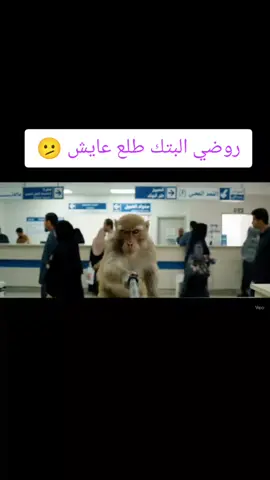 روضي البتك طلع عايش #زاكو #شعب_الصيني_ماله_حل😂😂 #fyp 