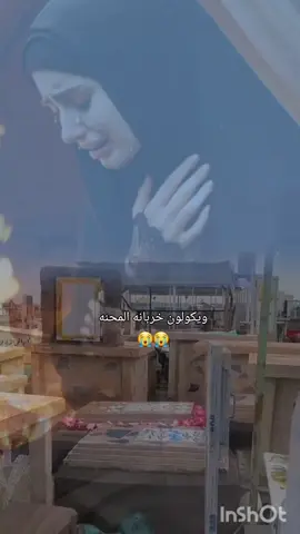 شيعودكم يحباب كلبي