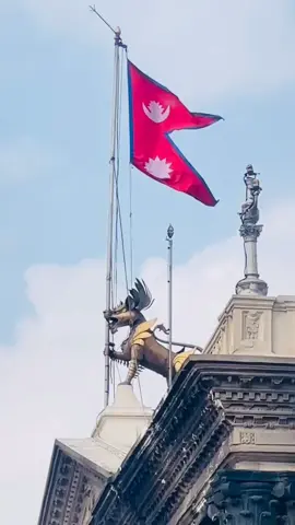 निरन्तर फहराइ रहेको सिंहदरबारको राष्ट्रिय झण्डा। यो सम्पदा छिटै पहिलेकै अवस्थामा देख्न पाइयोस।🇳🇵🇳🇵 #foryoupageviralシ゚ #maashantimediapvtltd 🇳🇵🇳🇵