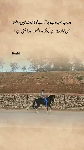 #horse #riding #lines #tiktok #fyp 