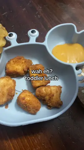 #fyp #toddlermealideas #toddlerlunch #toddlerlunchideas 