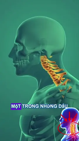 Gel làm dịu DR.RERDIA, dưỡng cổ từ các thành phần thiên nhiên như nhân sâm, gừng, ngải cứu.,X6g3K