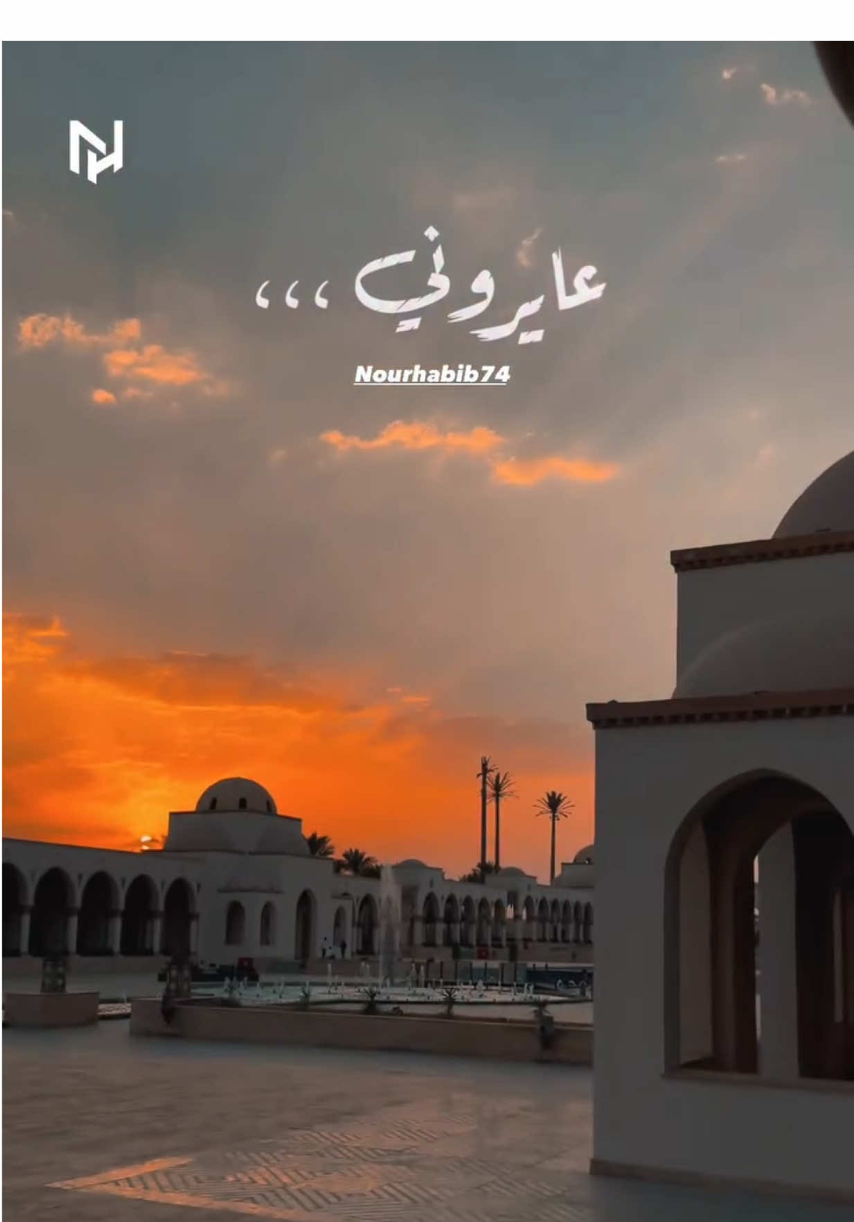 الكينج محمد منير عامل اغنية ضي حاجة عظمة😮‍💨👌  اغنية فيلم ضي 🎞️🔝 #فيلم_ضي #اغنيه_ضي #تصويري #fyppppppppppppppppppppppp #viral 