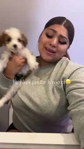 we’re  obsessed 🥲#fyp #puppy #juniorh 