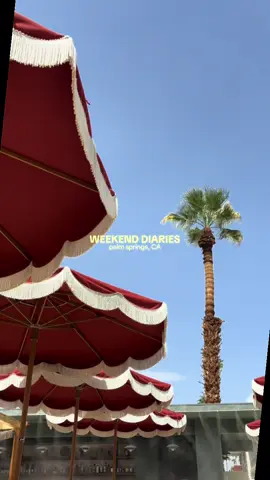 a little desert oasis 🌞 #palmsprings #palmspringscalifornia #traveltok #travelvlog #minivlog 