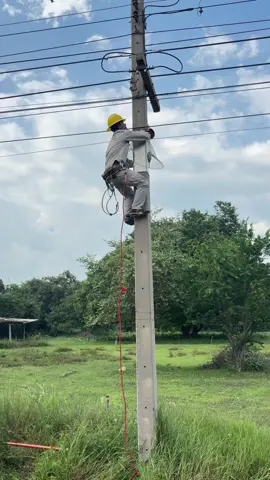 ปีนให้เด็กมันดู#การไฟฟ้าส่วนภูมิภาค #ช่างไฟฟ้าชนบท⚡⚡⚡ #บรรยากาศการทำงาน #ทีมงานคุณภาพ #ออกกําลังกาย 