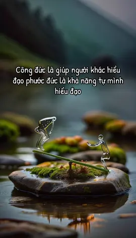 Rõ biết “Vô ngã - Vô thường …!!” ----------- Không chạy trốn đời mà hiểu sâu đời❤️ Không trói bỏ dục mà nhìn thẳng dục để chuyển hóa ❤️ Thức tỉnh giữa dục mới là chân thật; Tâm vững giữa đời mới là “Trí Tuệ”…!!
